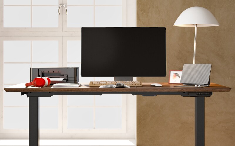 Pro Standing Desk (E5)