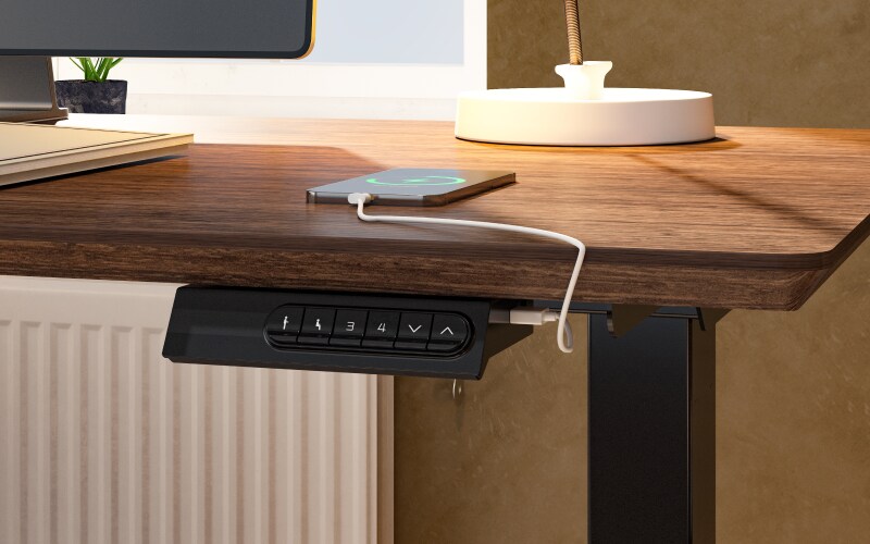 Pro Standing Desk (E5)