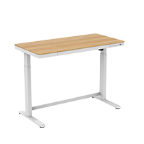 Flexispot Adjustable Standing Desk