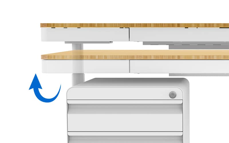 Flexispot Adjustable Standing Desk Pro Series