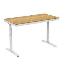 Flexispot Adjustable Standing Desk