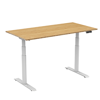 Flexispot Adjustable Standing Desk