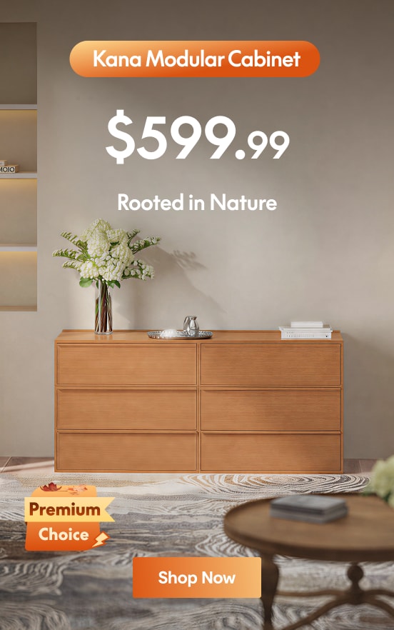 Kana modular cabinet in natural wood finish, priced at $599.99, placed in a modern interior with floral decor and subtle lighting.