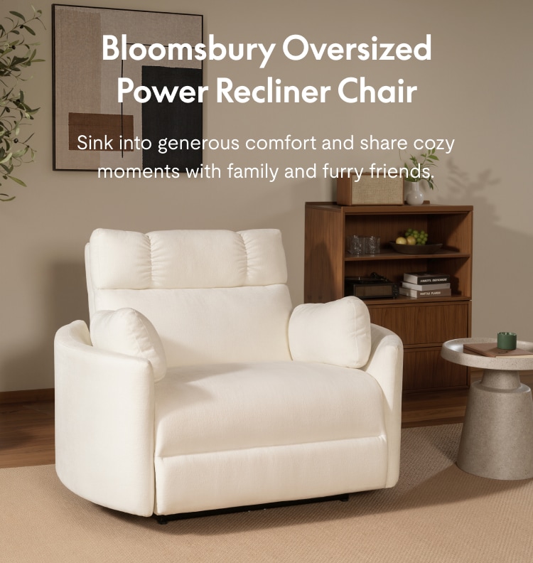 Flexispot oversized power recliner chair in a cozy living room with spacious seating for family and pets