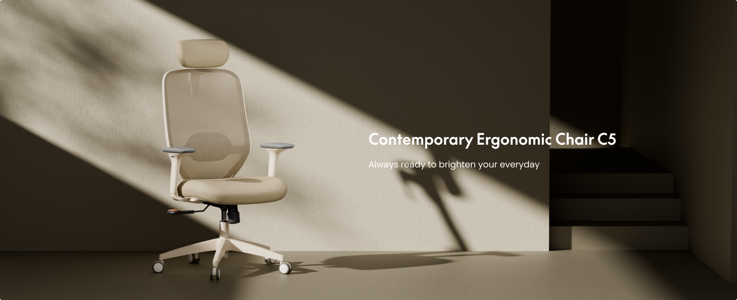 Stylish ergonomic chair C5