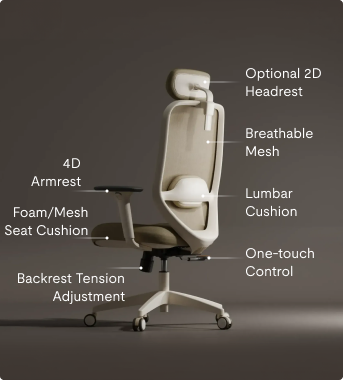 ergonomic chair C5 designed to fit your body and your home