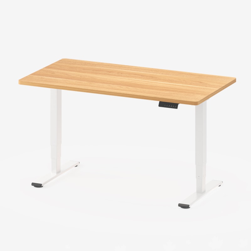 Pro Standing Desk (E5) | Flexispot