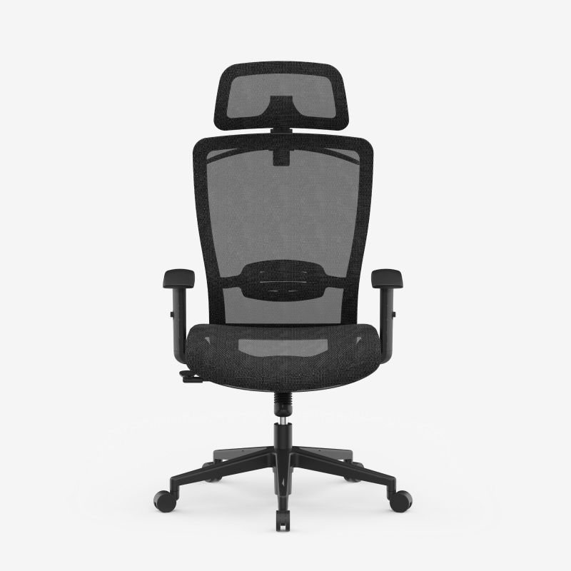 Ergonomic Office Chair OC3B | Flexispot