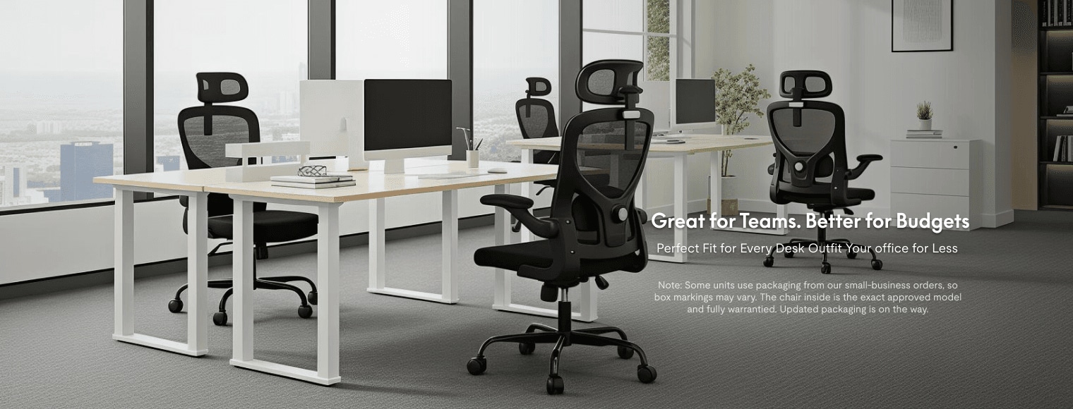 C2 ergonomic office chairs set in modern team office workspace, budget-friendly office seating for business teams