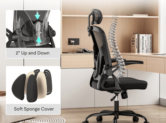 C2 ergonomic office chair showing adjustable lumbar support with 2-inch vertical adjustment and soft sponge pad