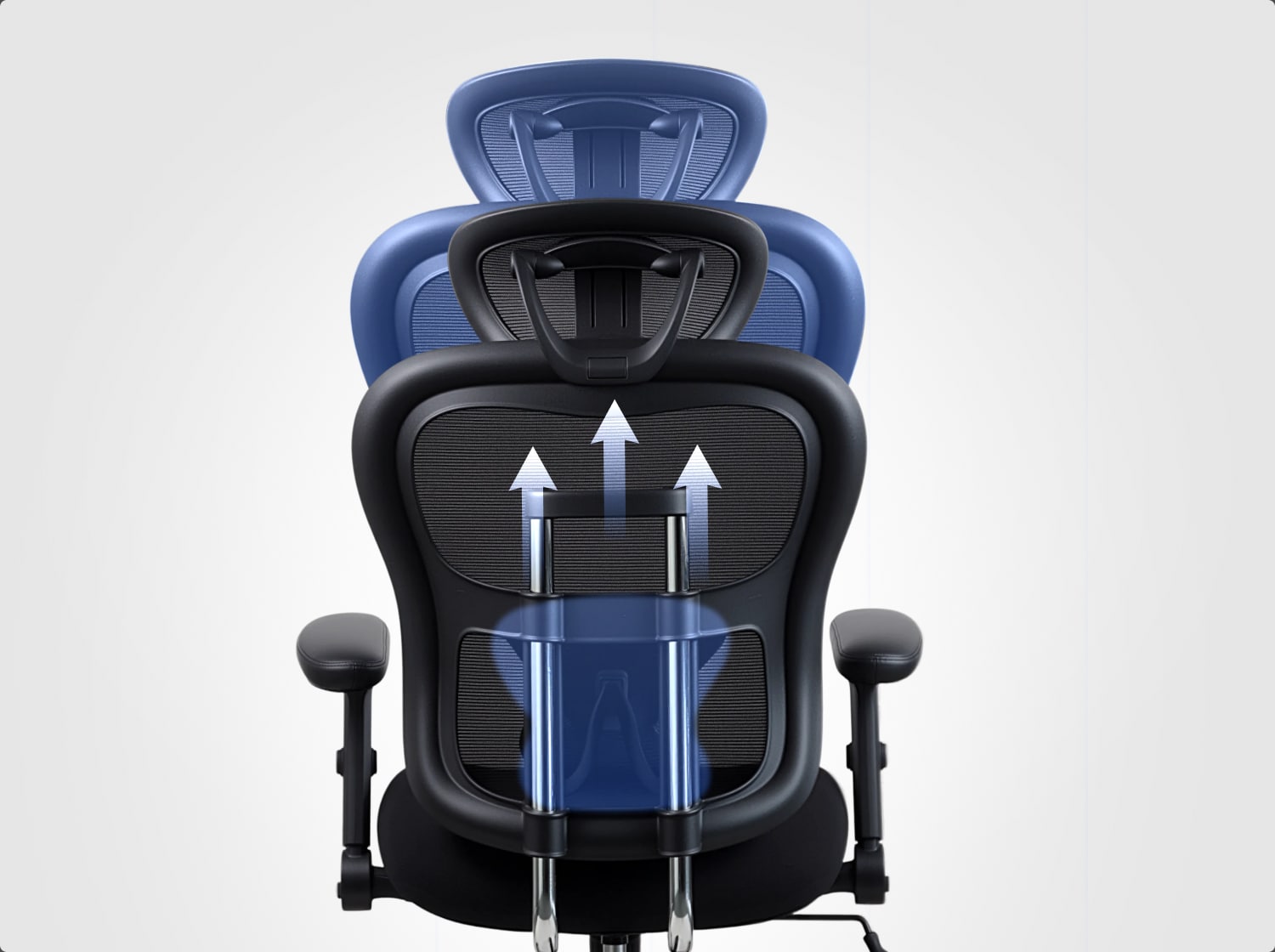 C3 ergonomic chair back‑view graphic showing adjustable backrest height