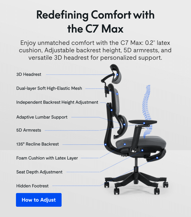 Premium Ergo Office Chair (C7 Max)