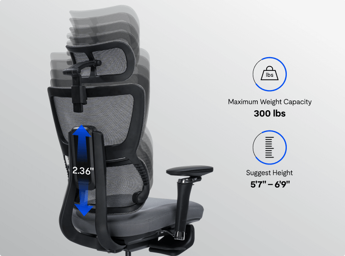 Premium Ergo Office Chair (C7 Max)