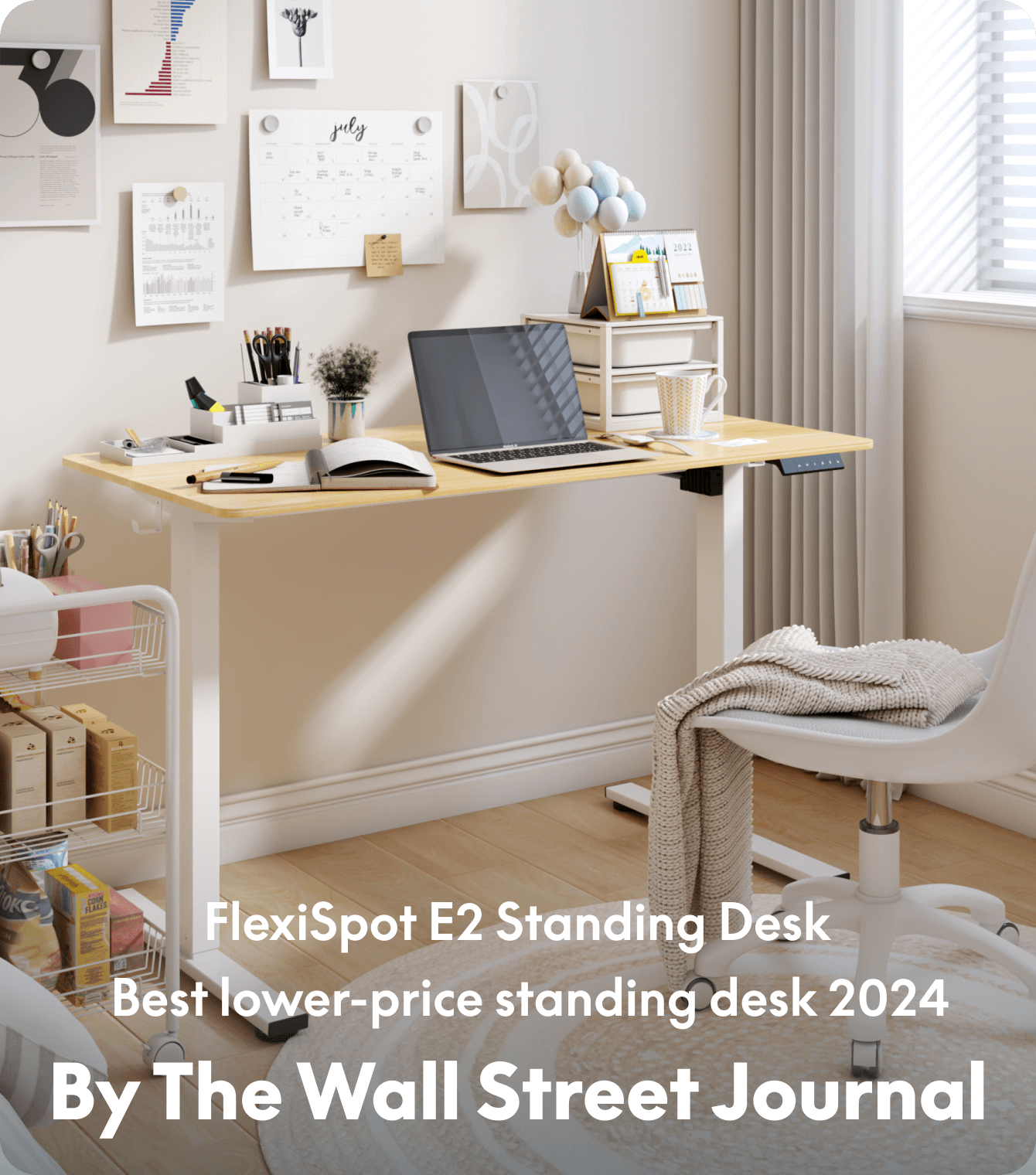 Rectangular Electric Height Adjustable Standing Desk | FlexiSpot