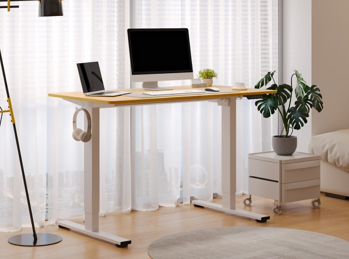 Rectangular Electric Height Adjustable Standing Desk | FlexiSpot