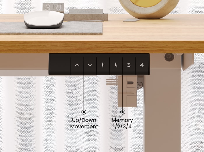 Rectangular Electric Height Adjustable Standing Desk | FlexiSpot