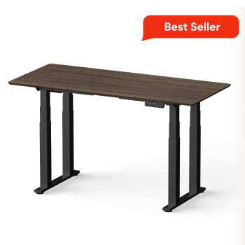 Flexispot Adjustable Standing Desk