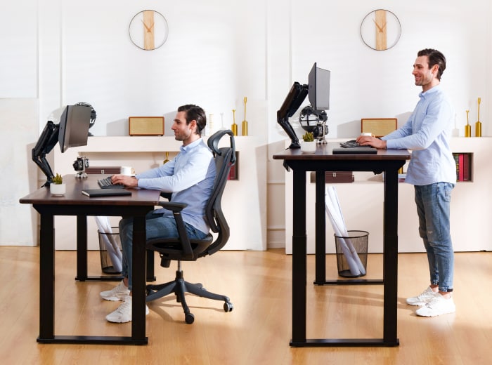 Flexispot E2Q Standing Desk