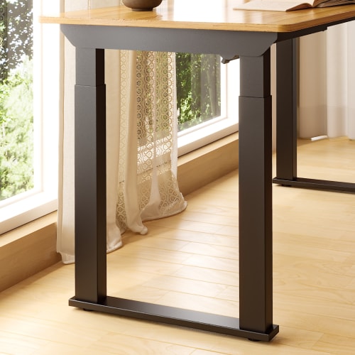 Flexispot E2Q Standing Desk