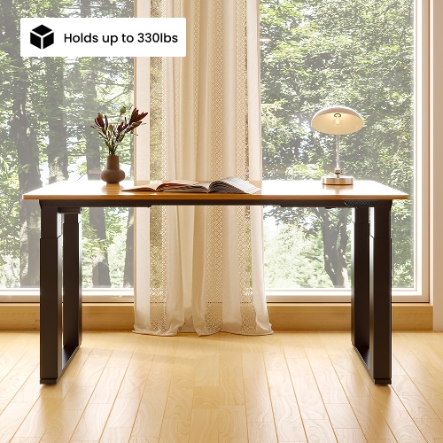 Flexispot E2Q Standing Desk