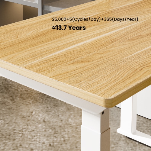 Flexispot E2Q Standing Desk