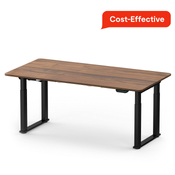 Flexispot Adjustable Standing Desk