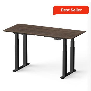 Flexispot Adjustable Standing Desk