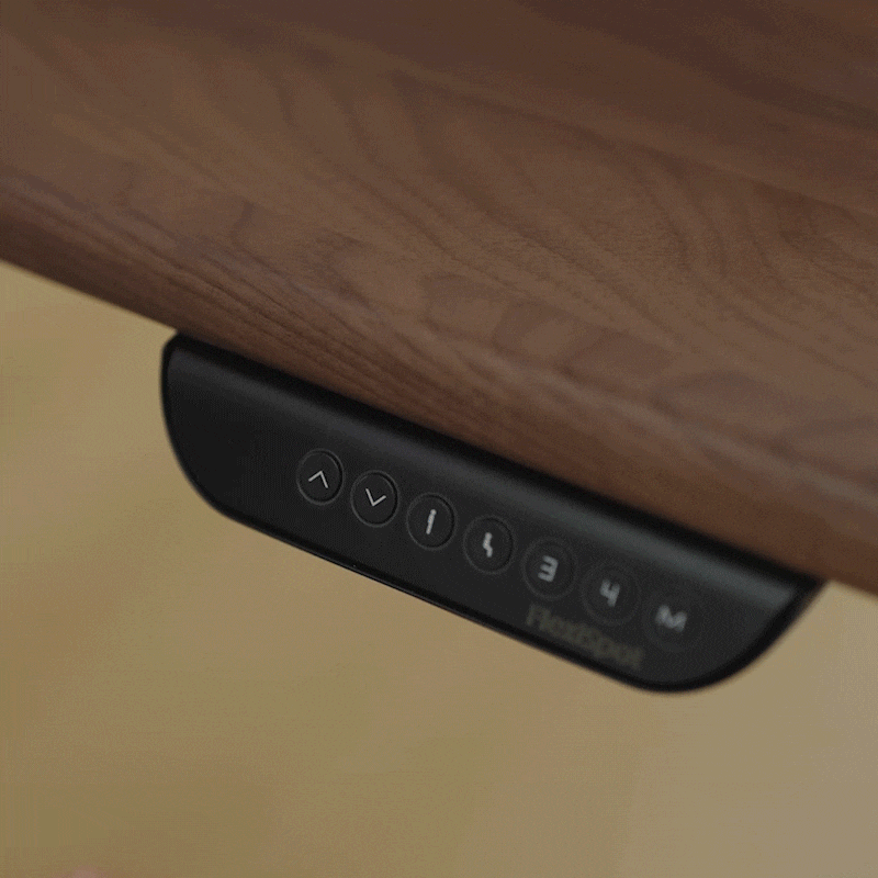 Flexispot E2Q Standing Desk