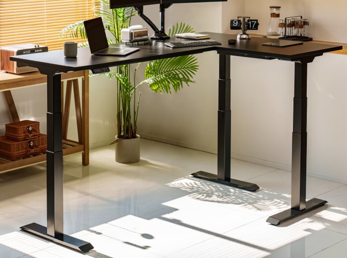 Flexispot E7L Standing Desk