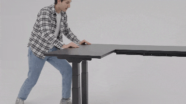 Flexispot E7L Standing Desk