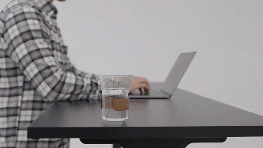 Flexispot E7L Standing Desk