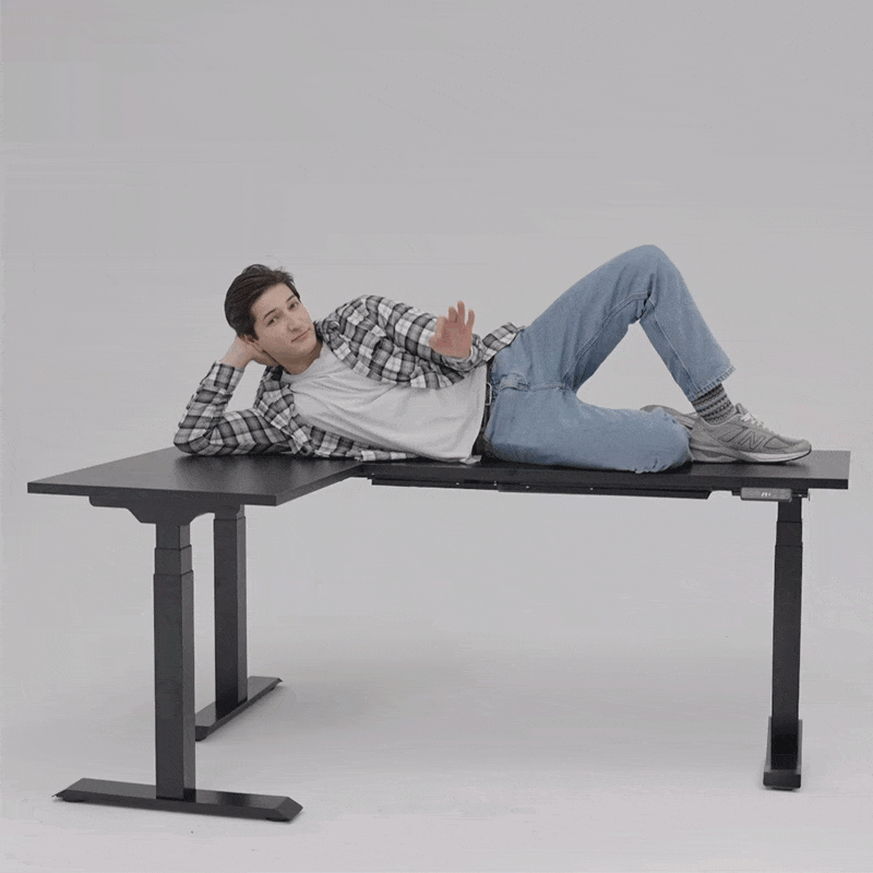 Flexispot E7L Standing Desk