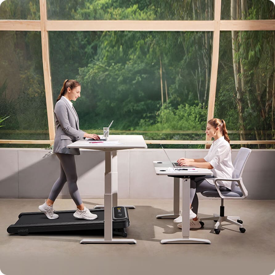 Electric Height Adjustable Standing Desk: Dual Motor Economical 