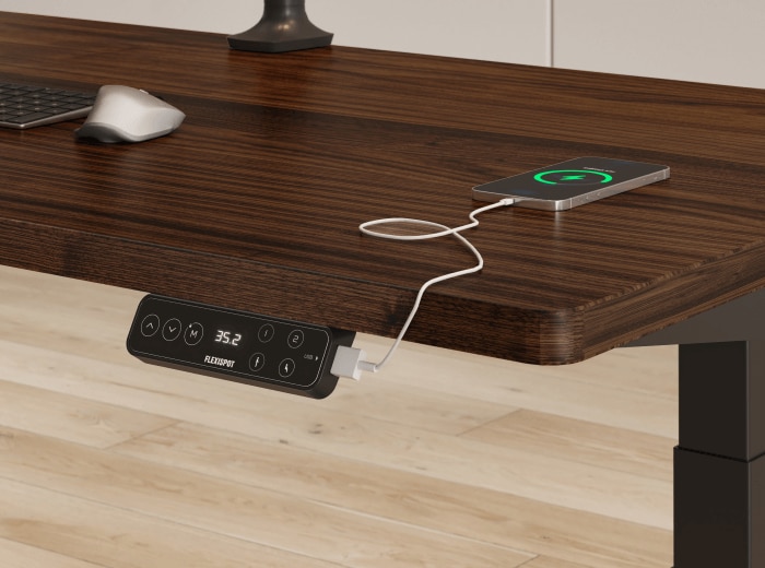 E9 High-end Standing Desk - Thumbnail 3