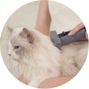 9-in-1 Pet Grooming Vacuum (N3)