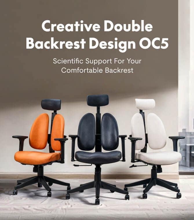 Double Backrest Ergonomic Chairs | Office Chair | Flexispot