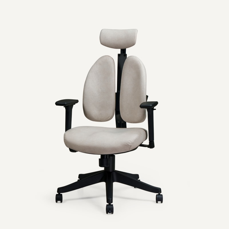Double Backrest Ergonomic Chairs | Office Chair | Flexispot