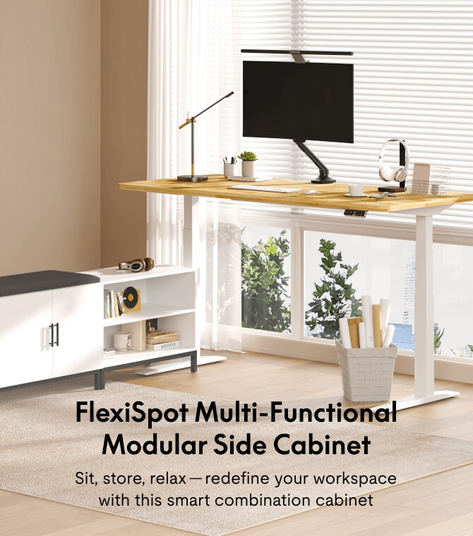 Standing Desk with Side Cabinet