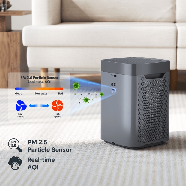 Y2 Air Purifier | Silent, Powerful Air Cleaning for Allergens