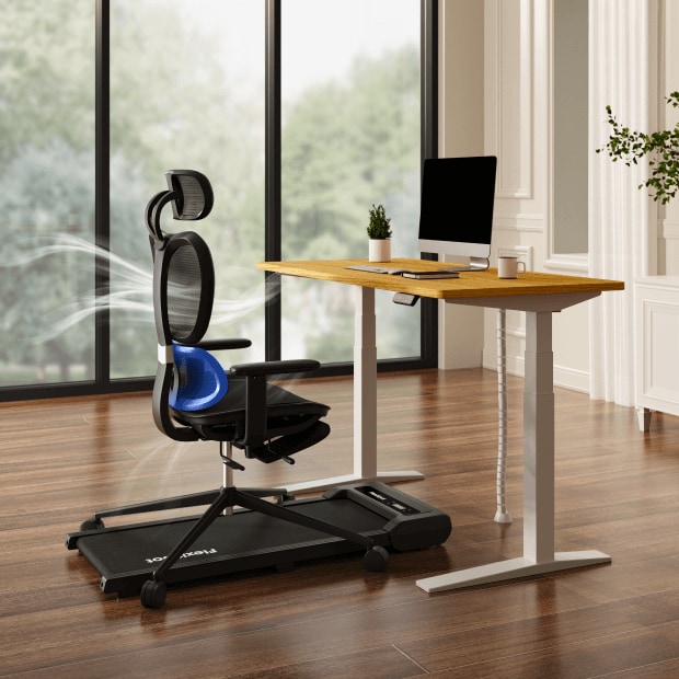QuadFlex Ergonomic Chair丨Stable, Comfortable Office Seating